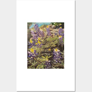 Texas Bluebonnet Season Posters and Art